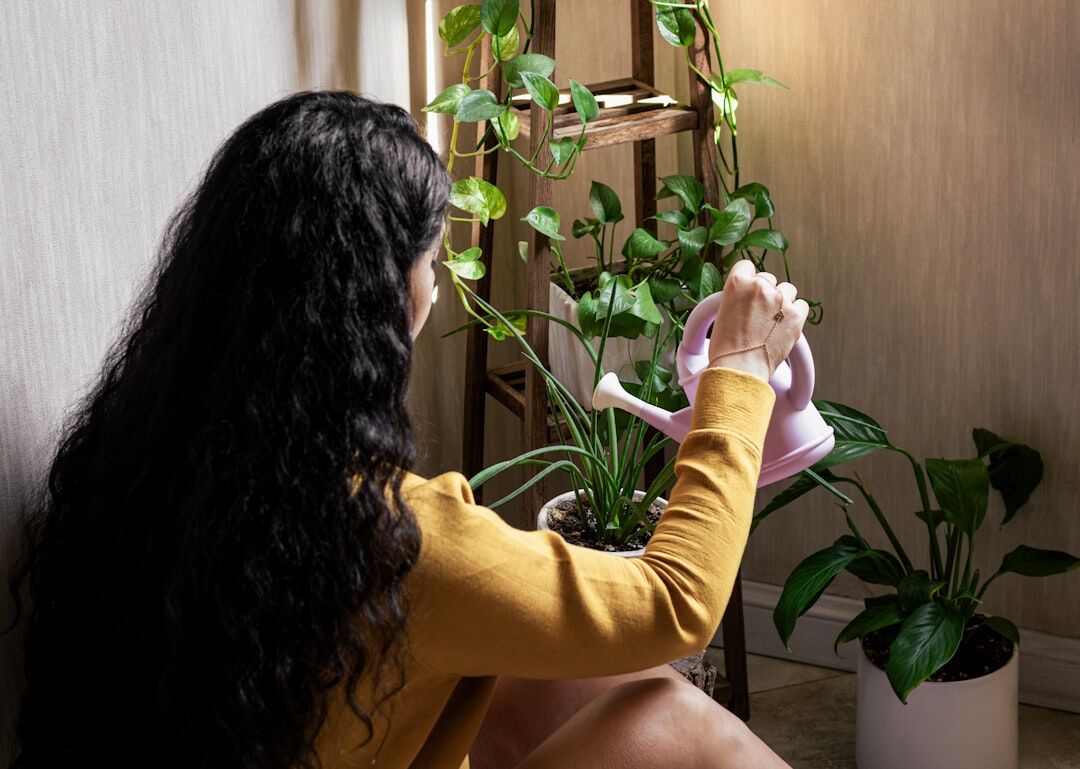 person repotting houseplant
