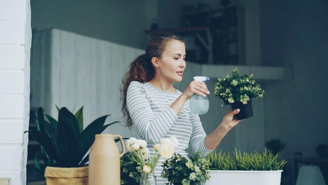 woman watering houseplants