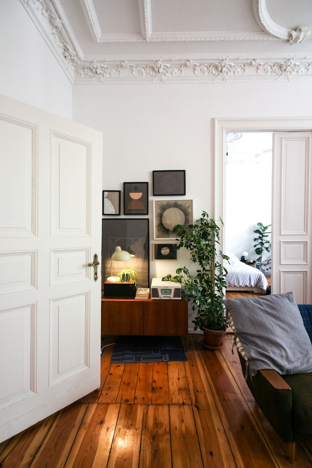 apartment living room with indoor plants