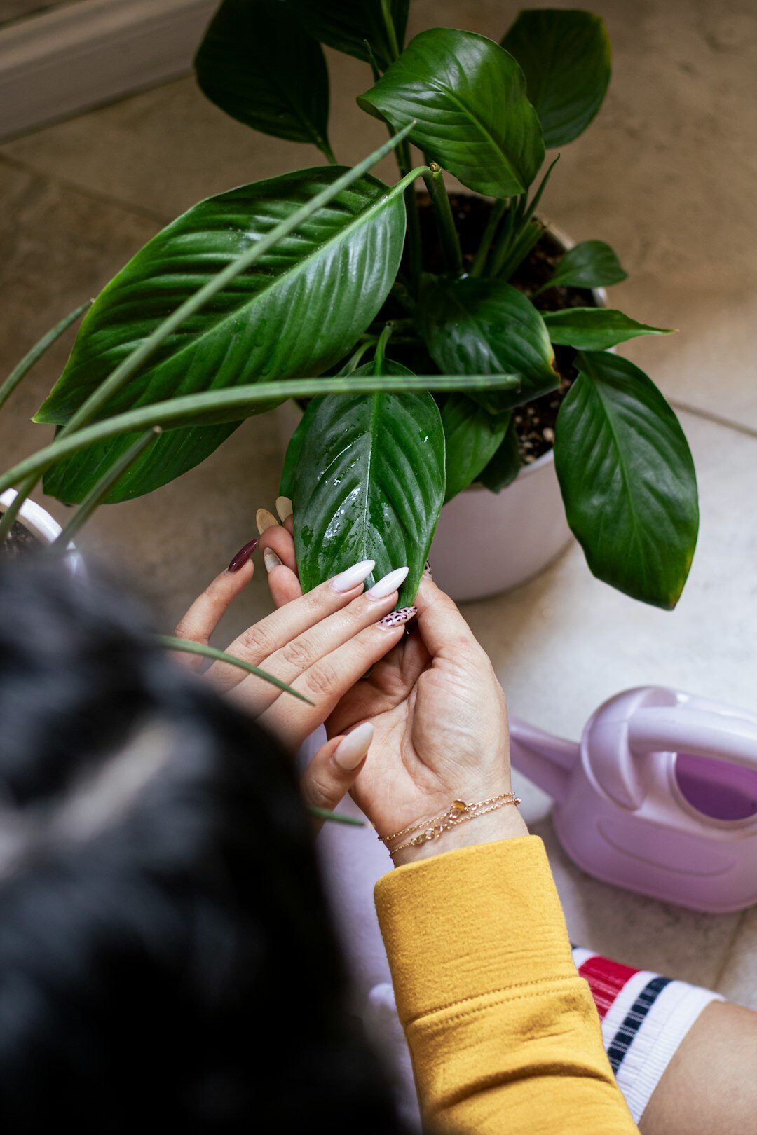 woman watering houseplants