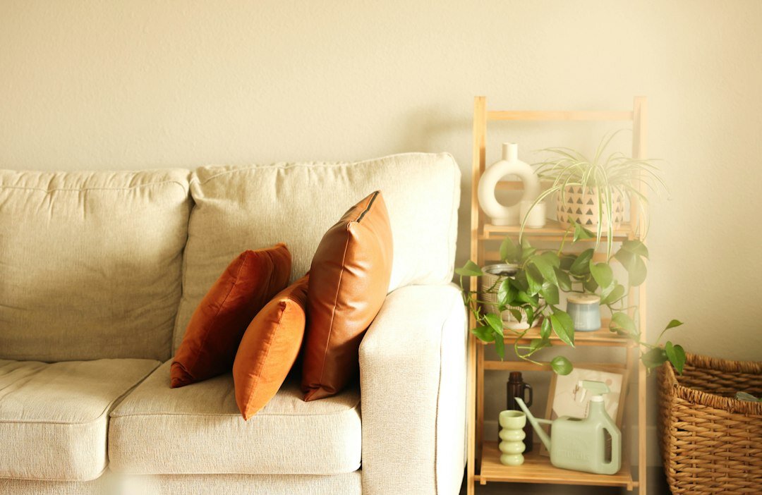 indoor plants home decor