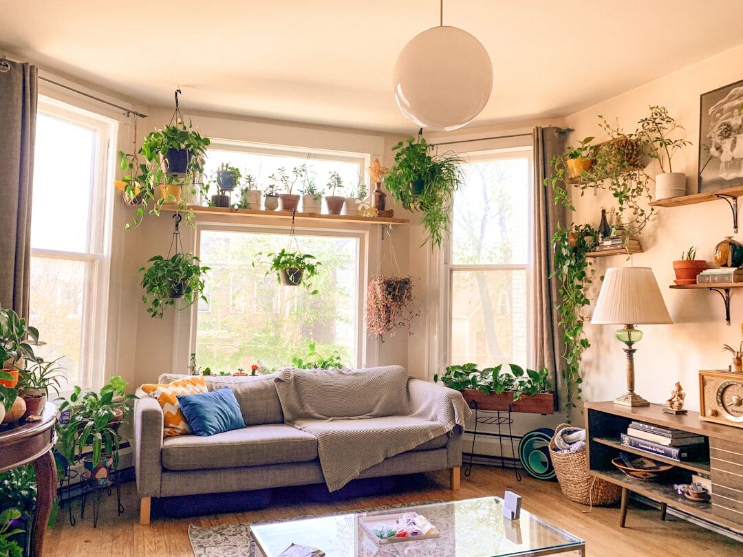 Bright living room filled with indoor potted plants near a window