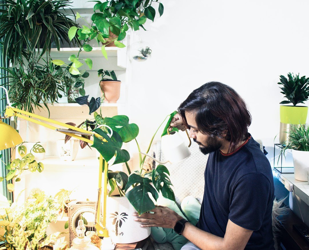 person watering houseplants